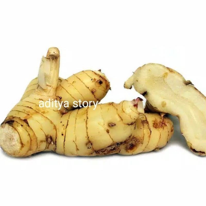 

Promo Laos segar bumbu masak 250gr /laja gunung bumbu masak sayuran