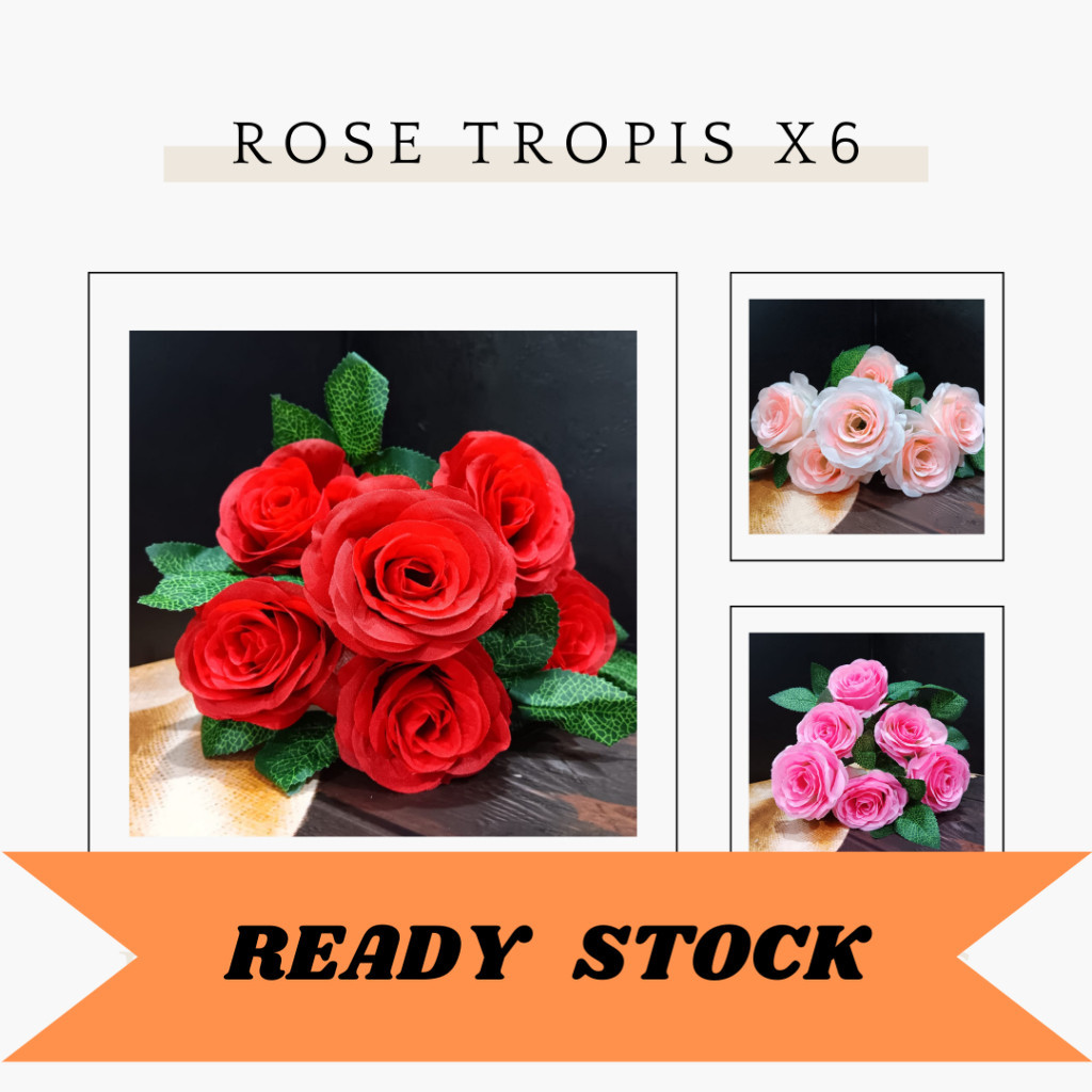 Bunga Mawar Rose Tropis Cabang 6 / 1 Lusin RT6