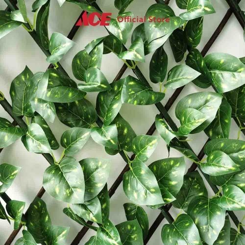 Ace - Cc Grass 100x200 Cm Tanaman Pagar Buatan Money Plant