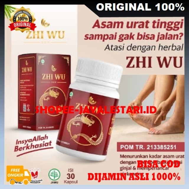 Obat Asam Urat dan Kolesterol ZHI WU - Obat Terbaik Herbal China Terbukti Sembuhkan Asam Urat.ORIGIN