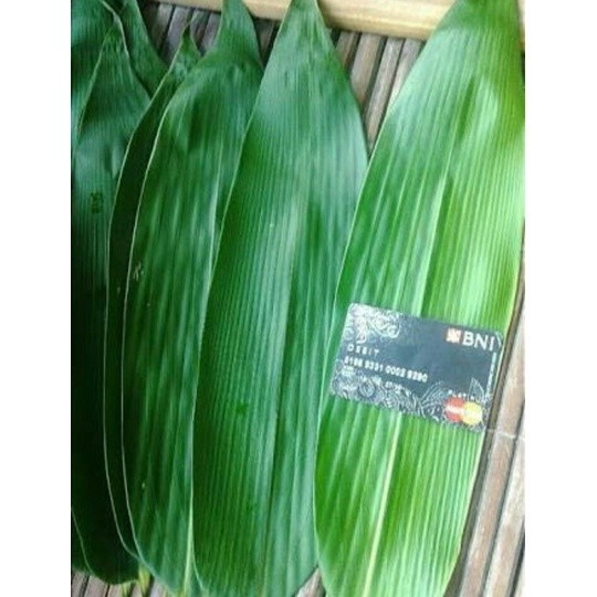 

Daun Bambu segar Untuk Bungkus Bakcang 150 gram Kualitas Terbaik mega store ready