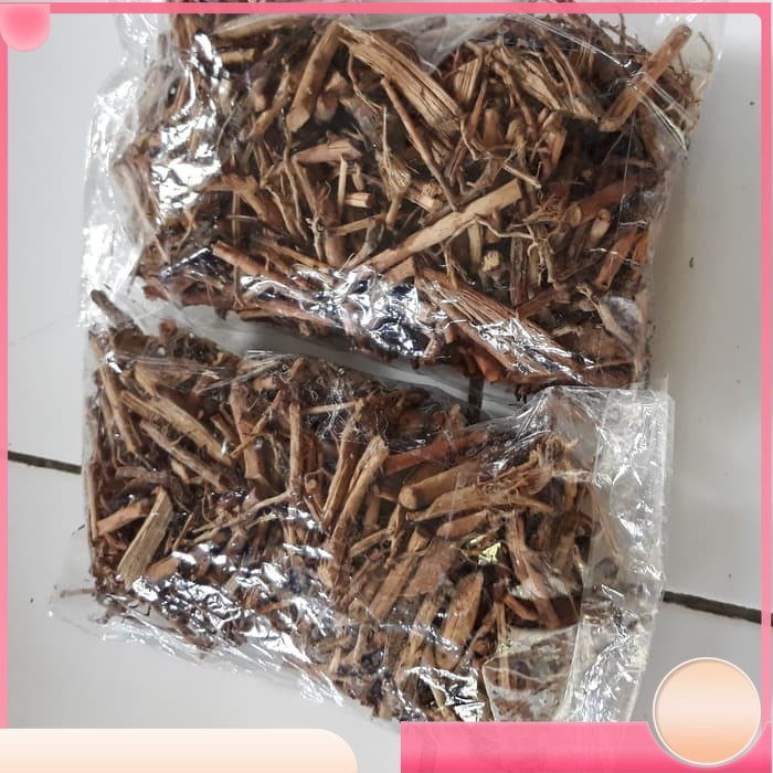 

Akar Pinang Kering 1.000 gram Kualitas Terbaik