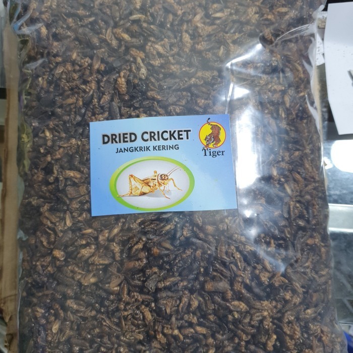 Tiger 1Kg Jangkrik kering Pakan sugar gilder landak mini hamster gecko