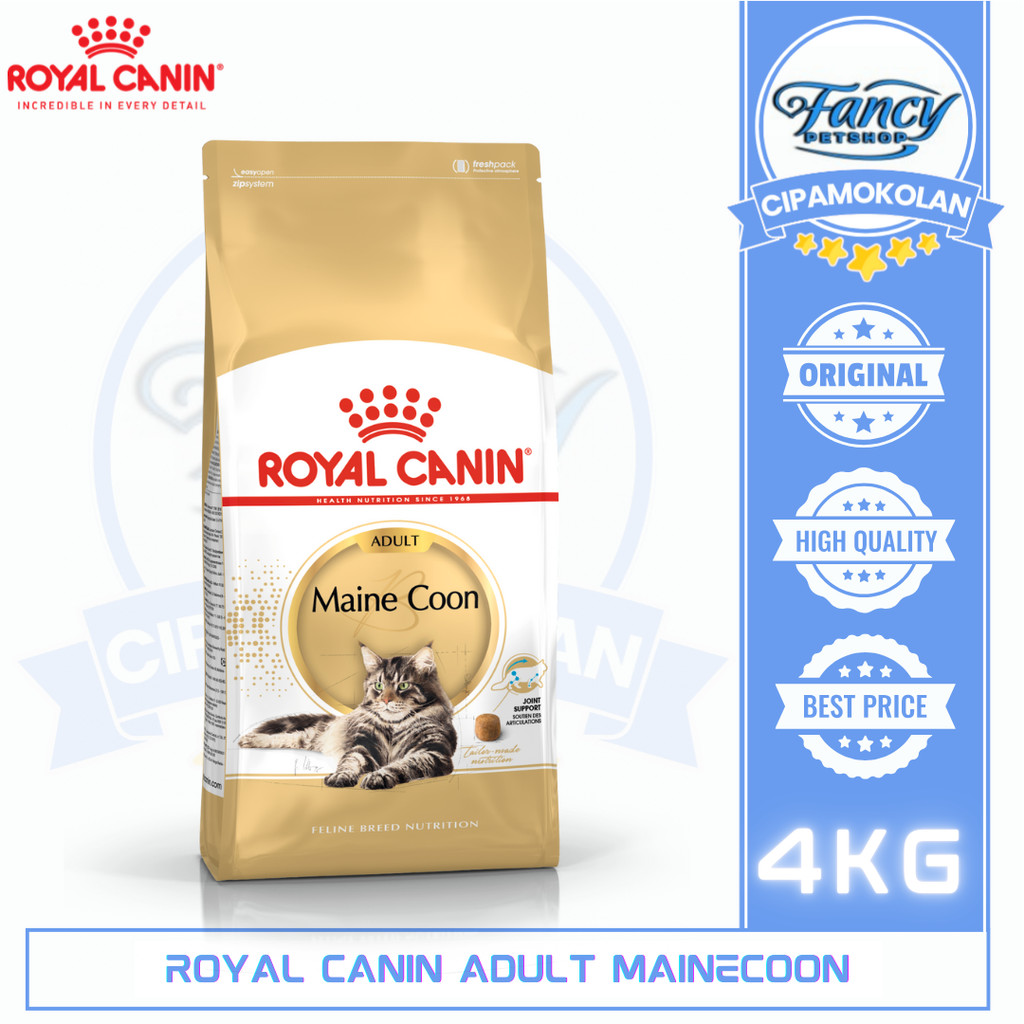 ROYAL CANIN MAINE COON ADULT 4KG