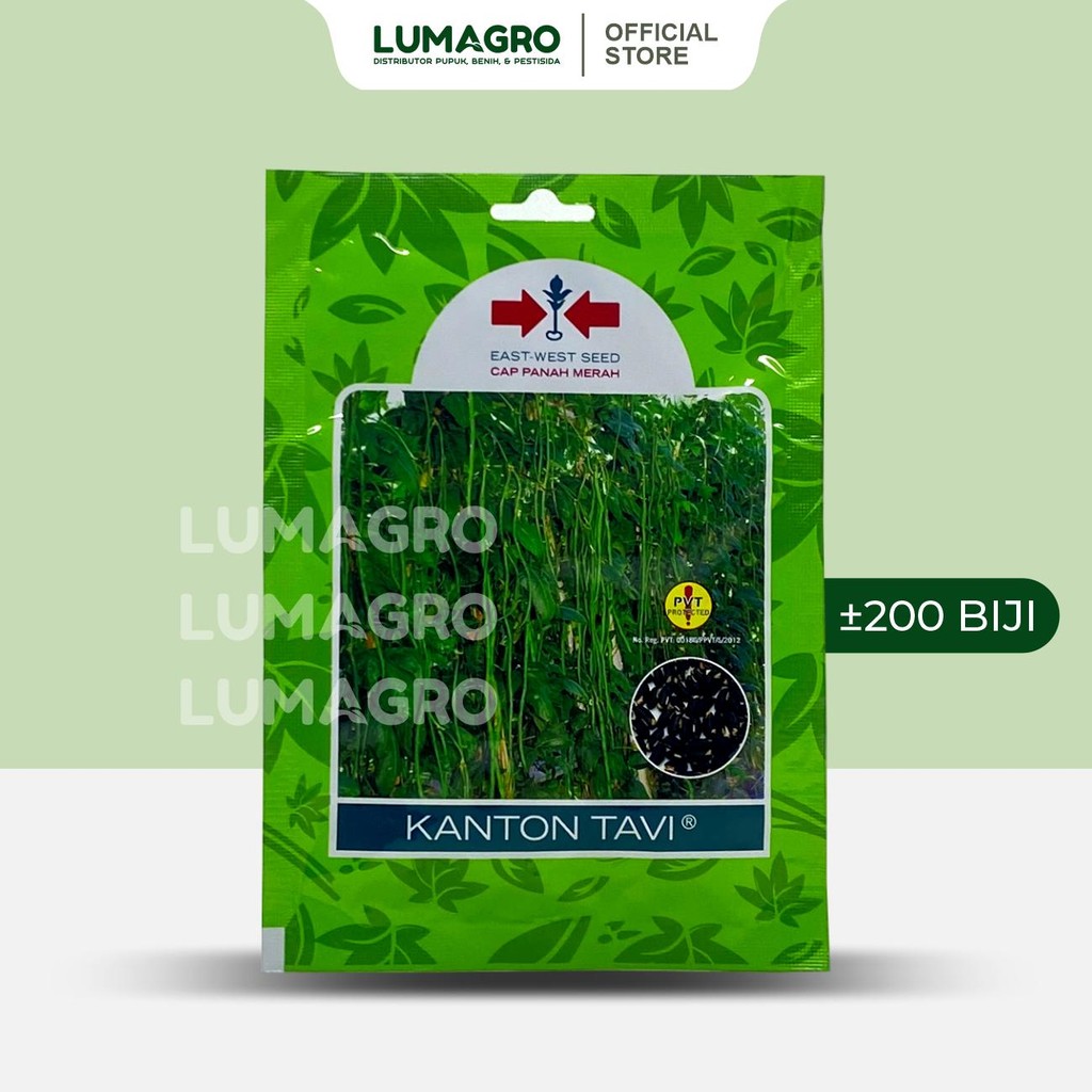 Benih Kacang Panjang Kanton Tavi 200 Biji Bibit Anti Virus Cap Panah Merah