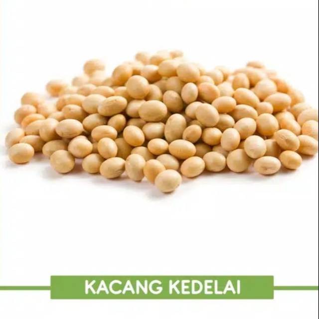 

Kacang kedelai Berat 500 gram - FDY