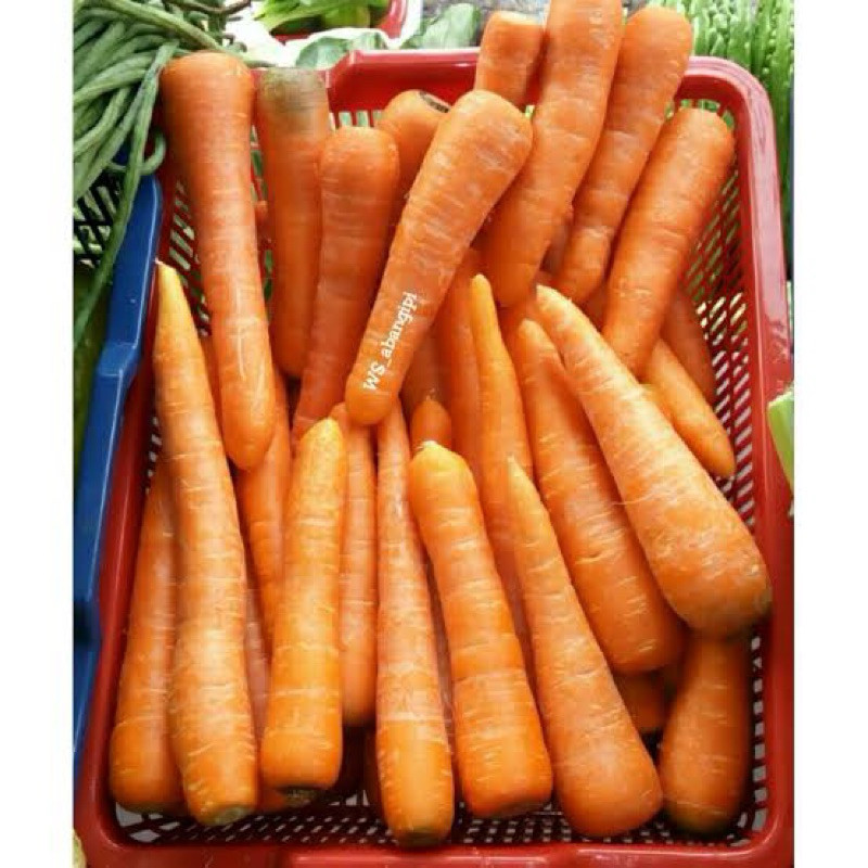 

Wortel Lokal Fresh 500G