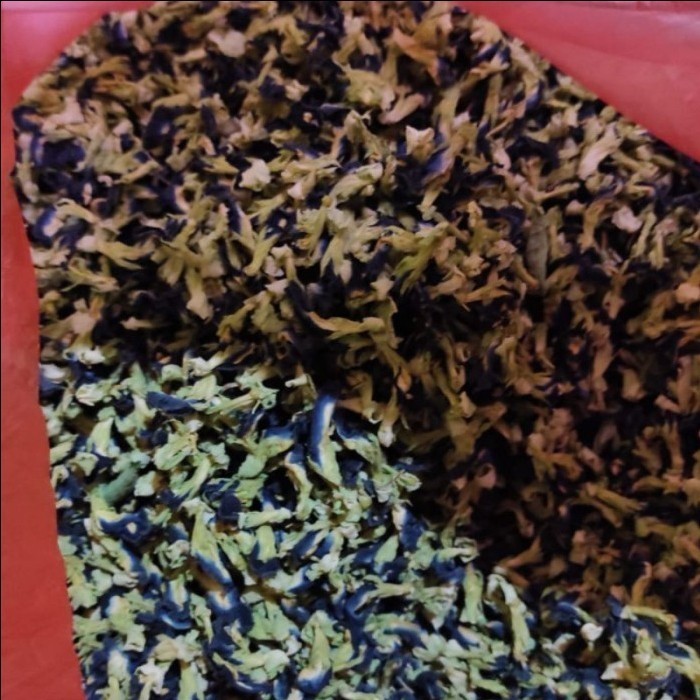 

Bunga Telang Kering 500Gram Pure Organik Tanaman Tradisional Nusantara