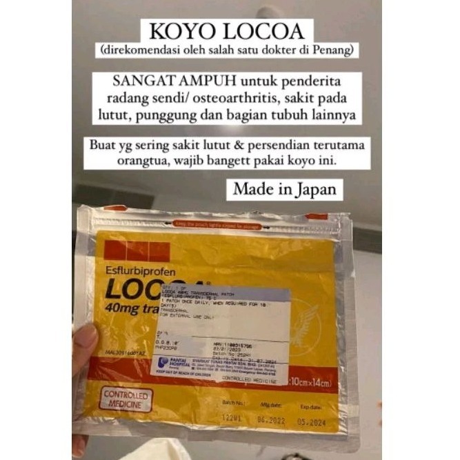 KOYO LOCOA | READY ‼️