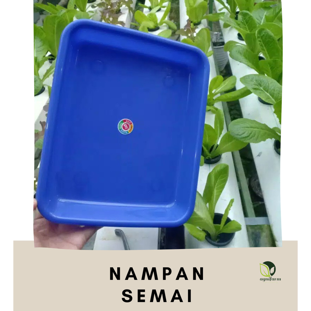 Nampan semai hidroponik / nampan serbaguna.