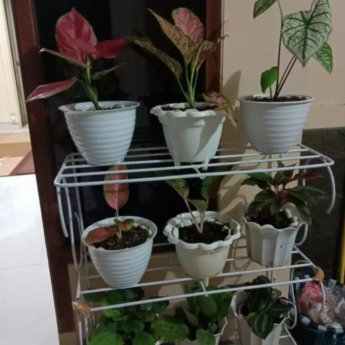 RAK STANDING 3 SUSUN/RAK POT BUNGA BESI/RAK POT TANAMAN HIAS - Putih