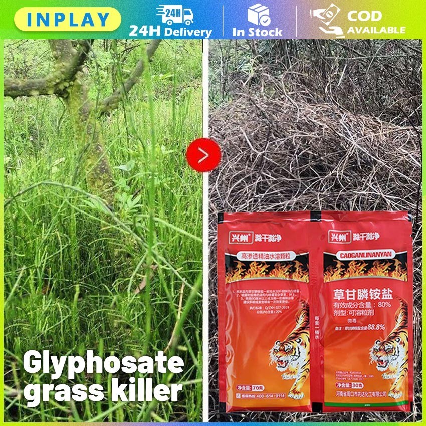 Kill Grass Herbisida Biologis 100G / Herbisida Kill Grass Panda Raja Pembunuh Gulma