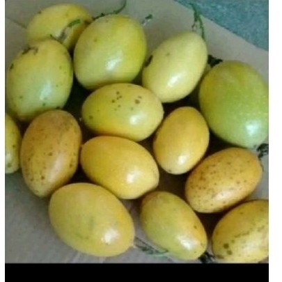 

Buah markisa sgar 1000 gr olahan jus