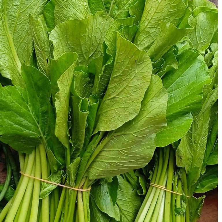 

Sayur Sawi Hijau 1 ikat - Mustard greens