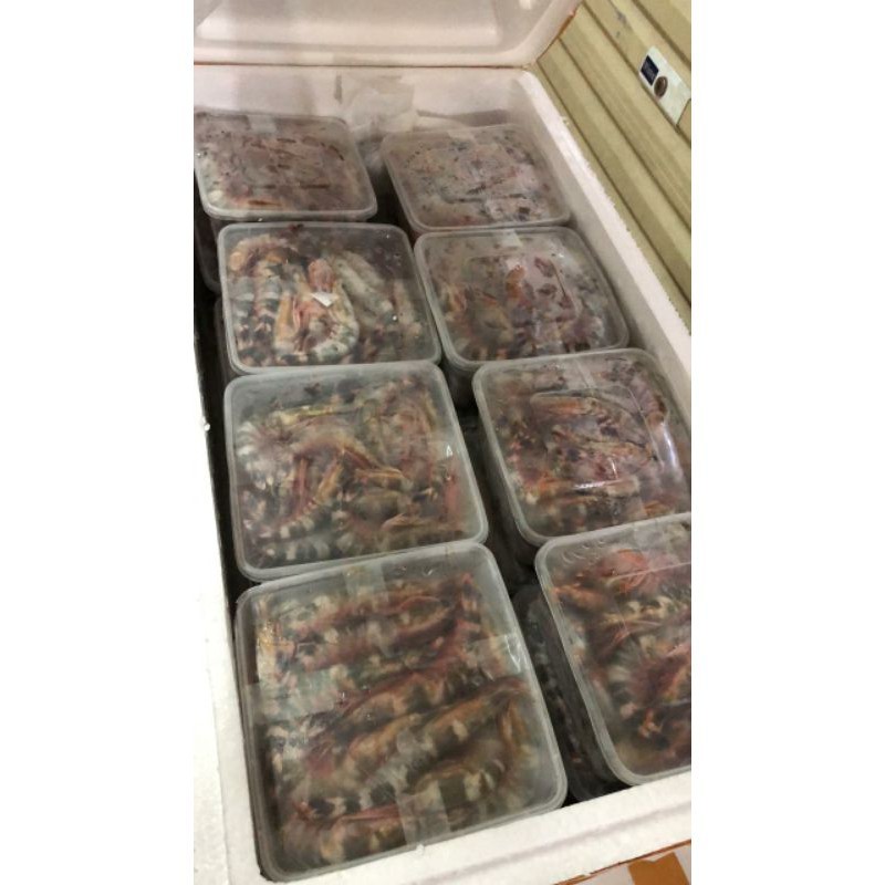 Udang Windu Tiger Frozen ±1kg