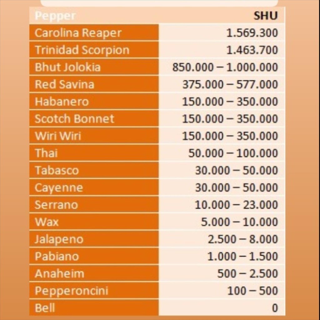 

RB Cabe Bubuk / Chilli Powder 1Kg Murni SHU 50rb Extra Pedas Import India