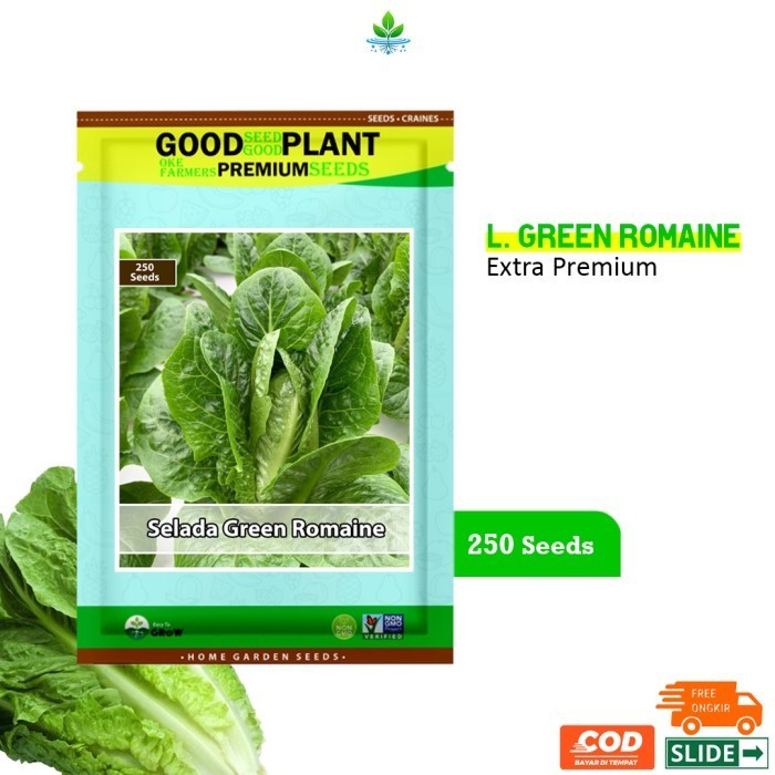 GOODSEED - 250 Biji Benih Bibit Selada Green Romaine F1