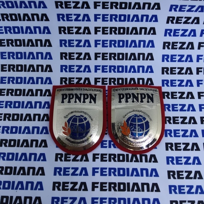 PIN PPNPN BPN