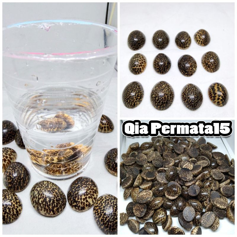 Bahan cincin akik kayu liwung