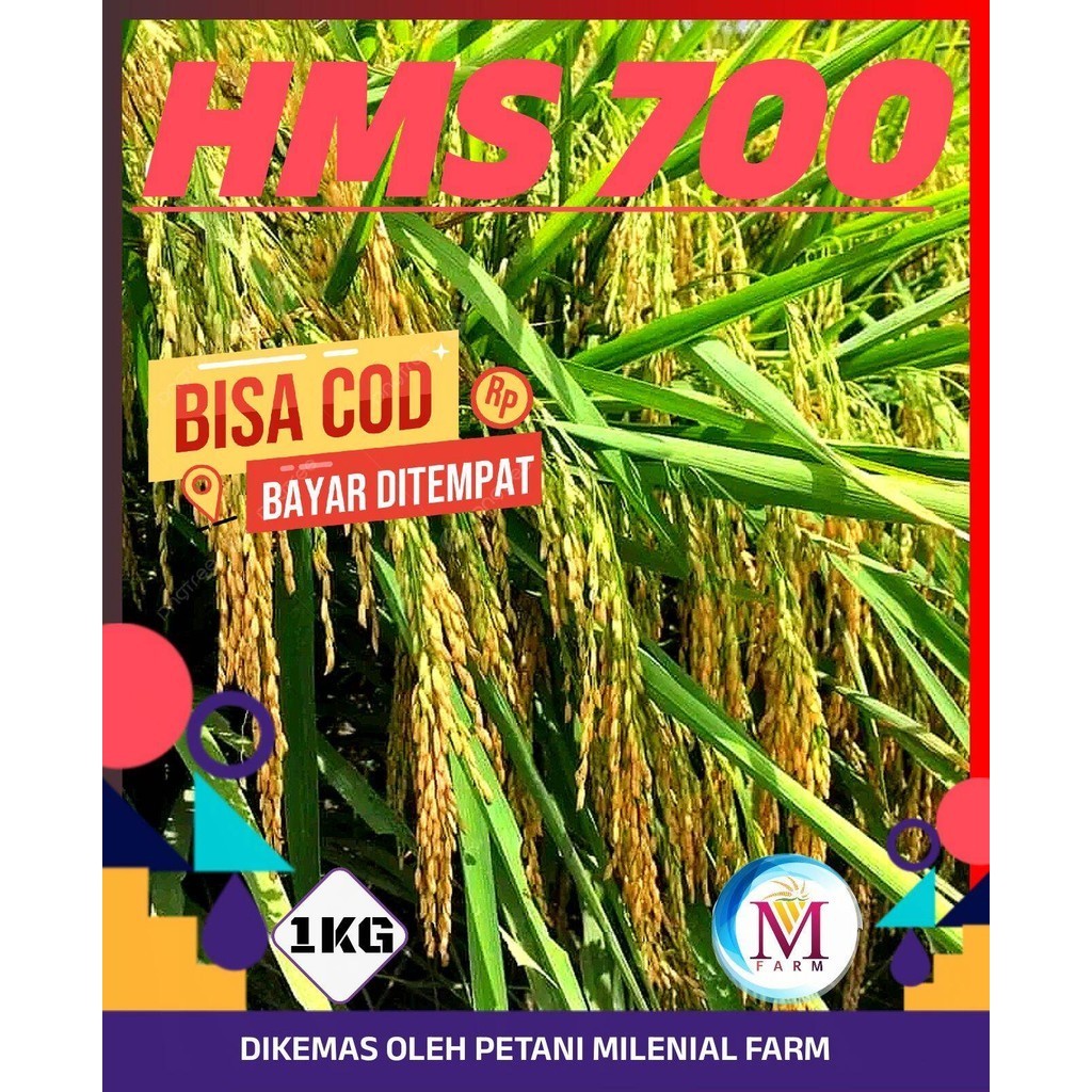 Benih padi hms700 kemasan 1kg
