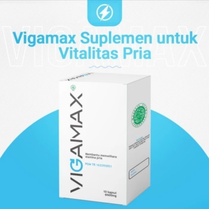 Vigamax Asli Original Obat Stamina Pria Pembesar Alat Vital Herbal