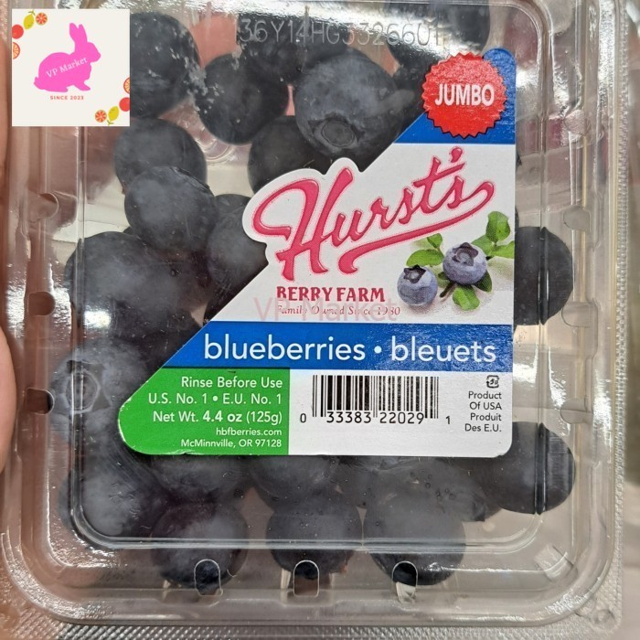 

Buah Blueberry USA JUMBO Premium 125 gr