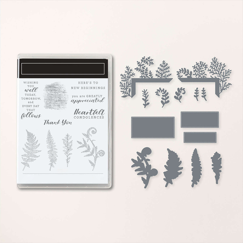 

Wild Ferns Clear Stamps And Dies Set for DIY Scrapbooking Paper Card Making 2024 Mini Catalog Stamps Diecut