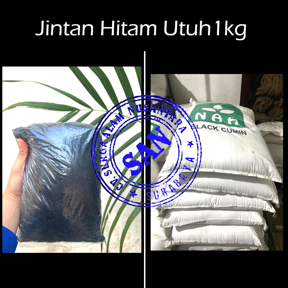 

Jintan Hitam Utuh 1kg Habbatussauda