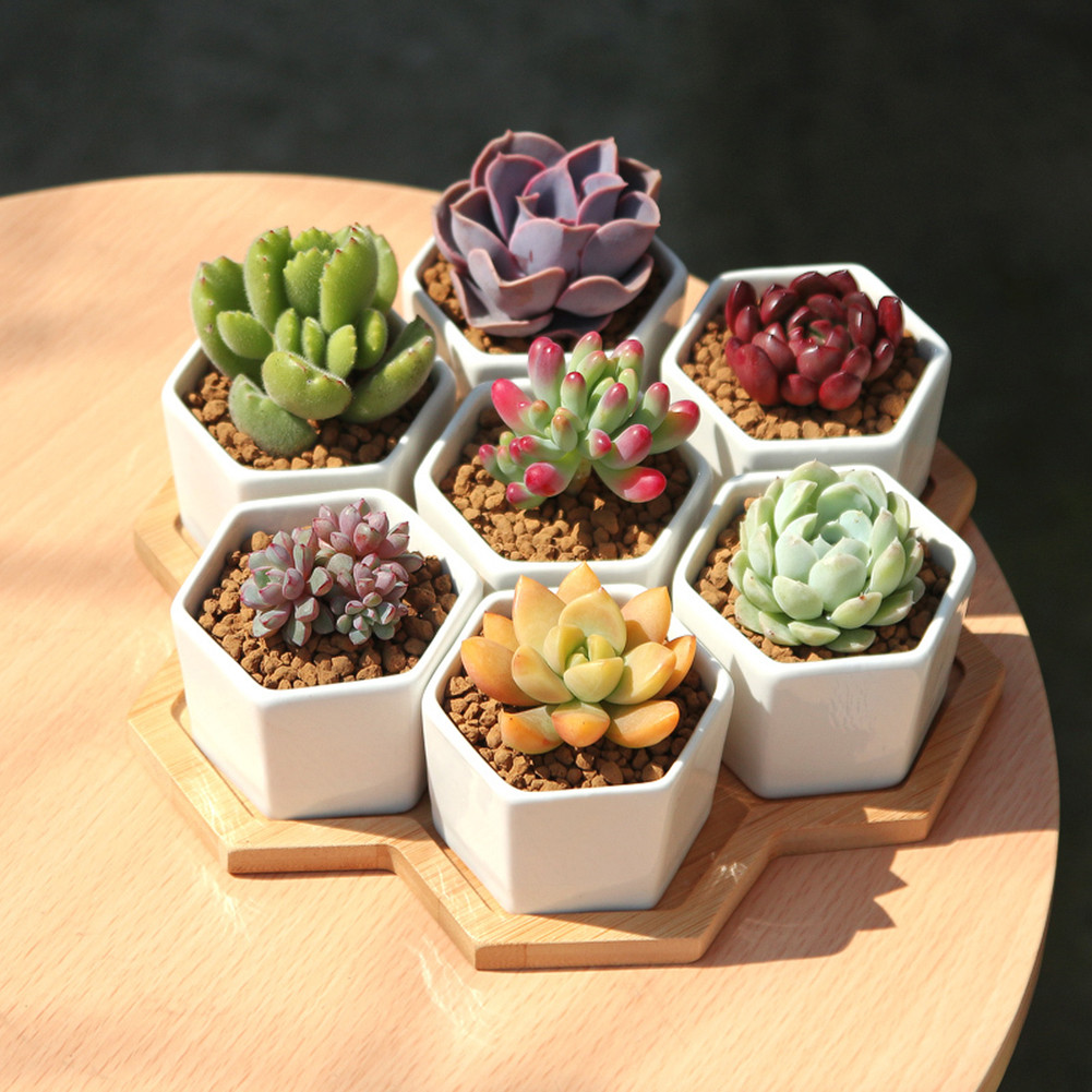 

Silicone Plant Pot Molds Form Arts Craft Polygonal Casting Moulds DIY Succulent Flowerpot Clay Mold 3 Styles Concrete Mould