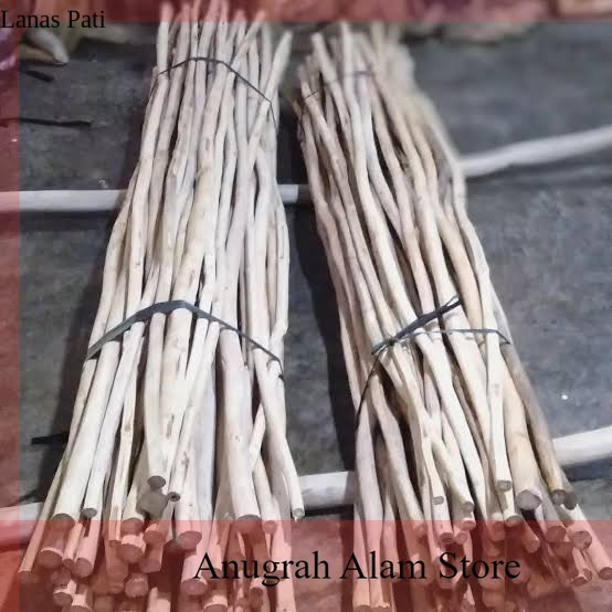 

Pt Abraham Malik - Promo Bahan Ranting Kayu Jati Dekorasi Atap Rumah Cafe Resto Panjang 150 Cm -Bisa Grab Dan Gosend XD5