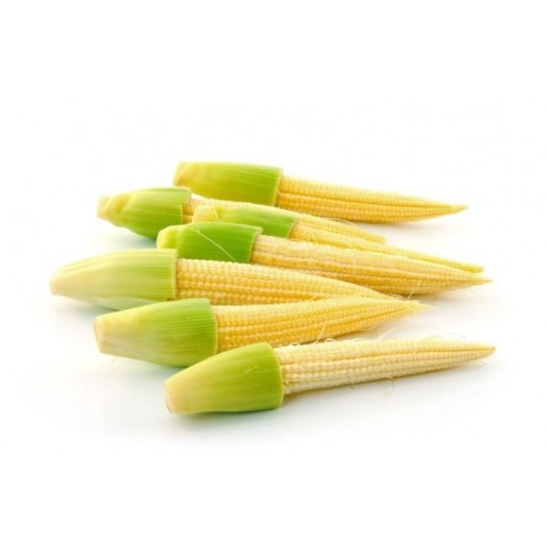 

Jagung Muda / Janten || 250gr - BEST Fresh food