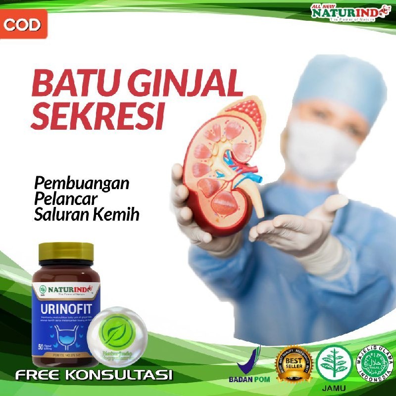 URINOFIT Obat Batu Ginjal Ampuh Pelancar Saluran Kemih Susah Buang Air Kecil Naturindo Yogyakarta