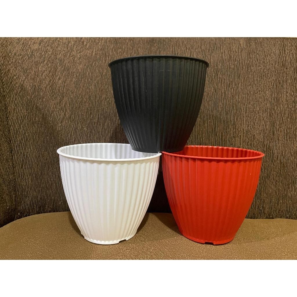 PROMO TERMURAH Pot Kerang 15 Transparan Bening / Pot Zigo 15 / Pot Tanaman / Pot Hias / Pot Bunga Ar