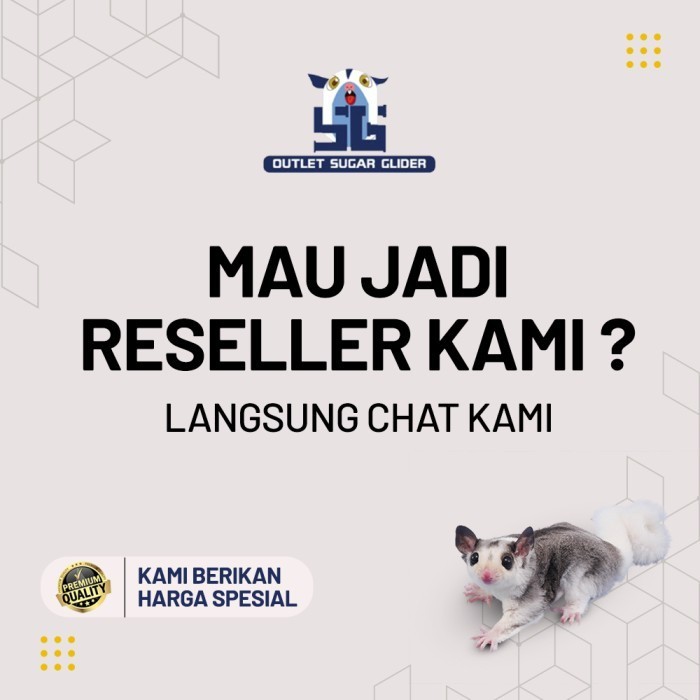 ✨TERMURAH✨ -SLEEPING POUCH MODEL TELOR UNTUK HEWAN SUGAR GLIDER / TUPAI TERBANG - random