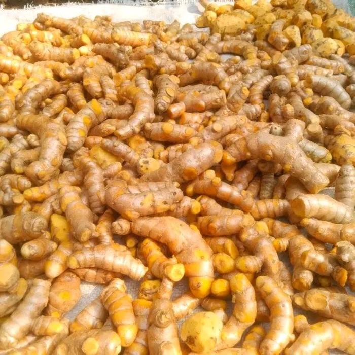 

Kunyit 1kg | kunir | umbi herbal untuk pengobatan | bumbu masak dll