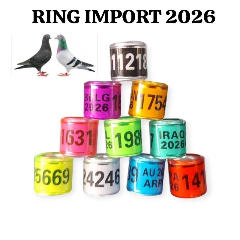 RING IMPORT MERPATI 2026/RING BURUNG MERPATI