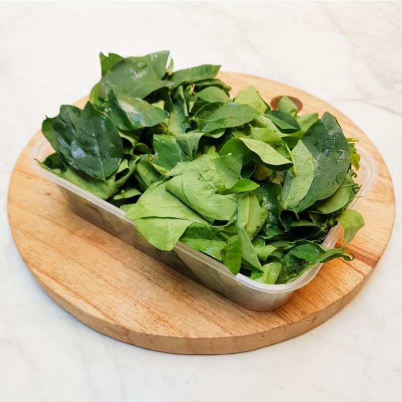 

Foodprep Daun Katuk