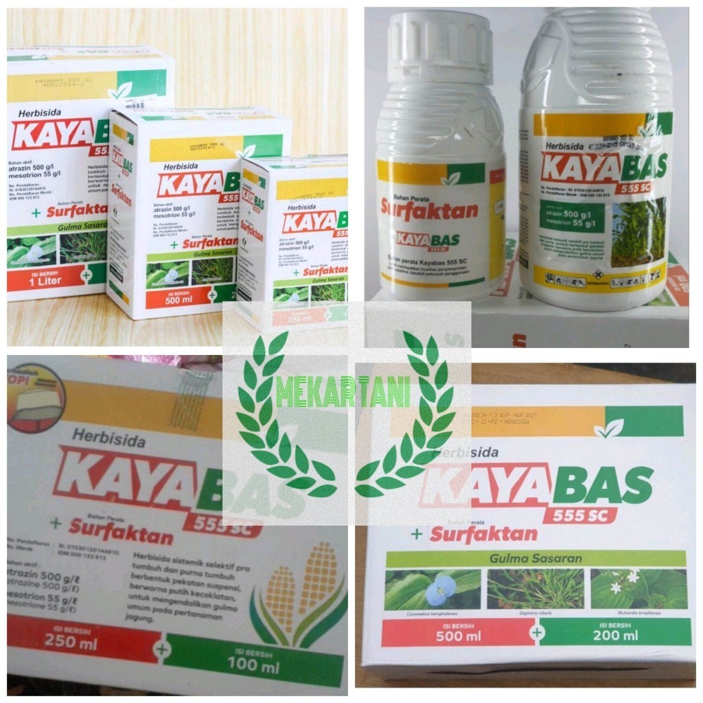 Kayabas 1 liter / kayabas 555SC herbisida selektif pra tumbuh tanaman jagung