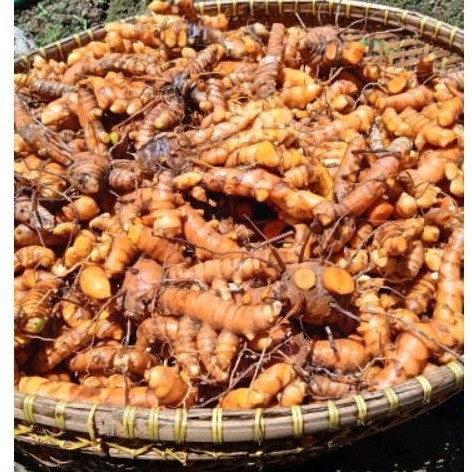 

kunyit sayur segar 1 kg, Herbal, Tradisional