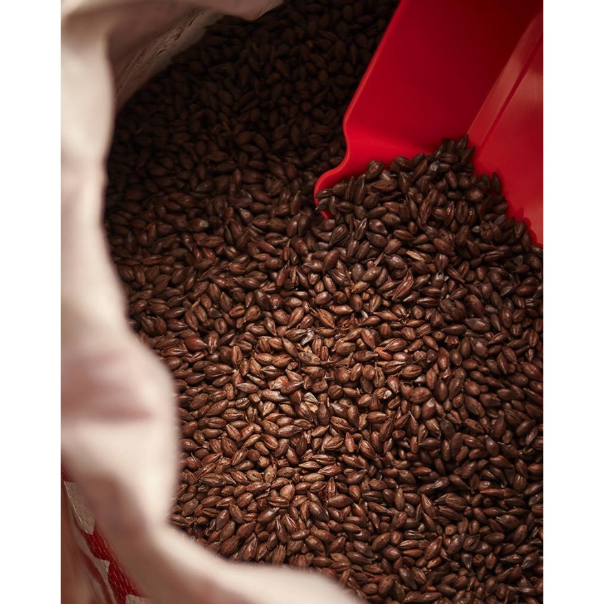 Imatton Weyermann CARAFA Type 3 grain barley malt brewing