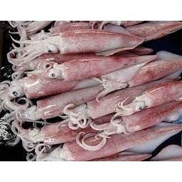 

Cumi Segar 250gr Medan - BEST Fresh Food