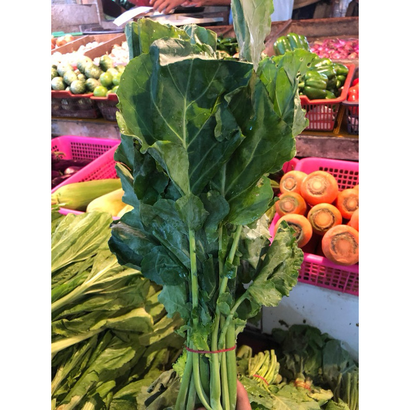 

BABY KAILAN 500G