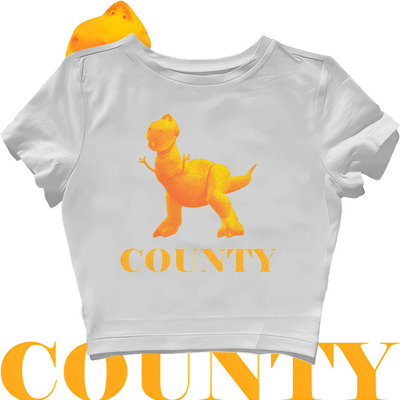 CROP TOP REX ORANGE COUNTY TOY STORY REWORK | GRUNGE | CROPTOP | CROP TEE SLIM FIT STYLE Y2K VINTAGE