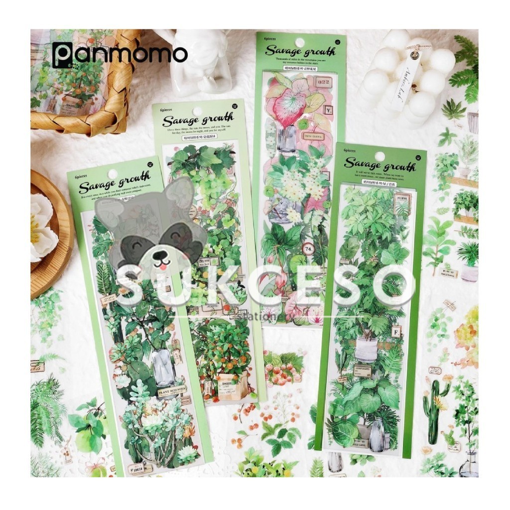 

Green Growth Series Stickers 6pcs Diary Deco PET Stiker Dekorasi Hiasan Tanaman Transparan