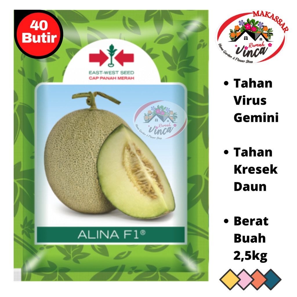 Benih Bibit Melon Madu ALINA F1 40 Biji Cap Panah Merah Tahan Virus Kuning