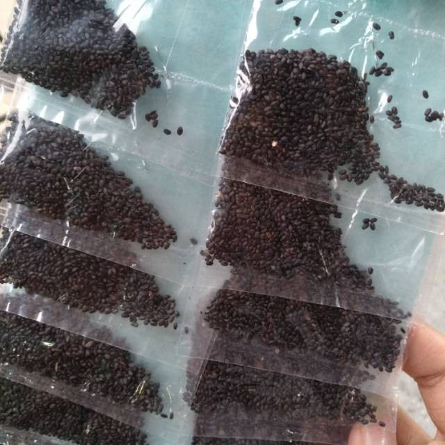 

[SDW] pekanbaru/Biji Selasih Repack