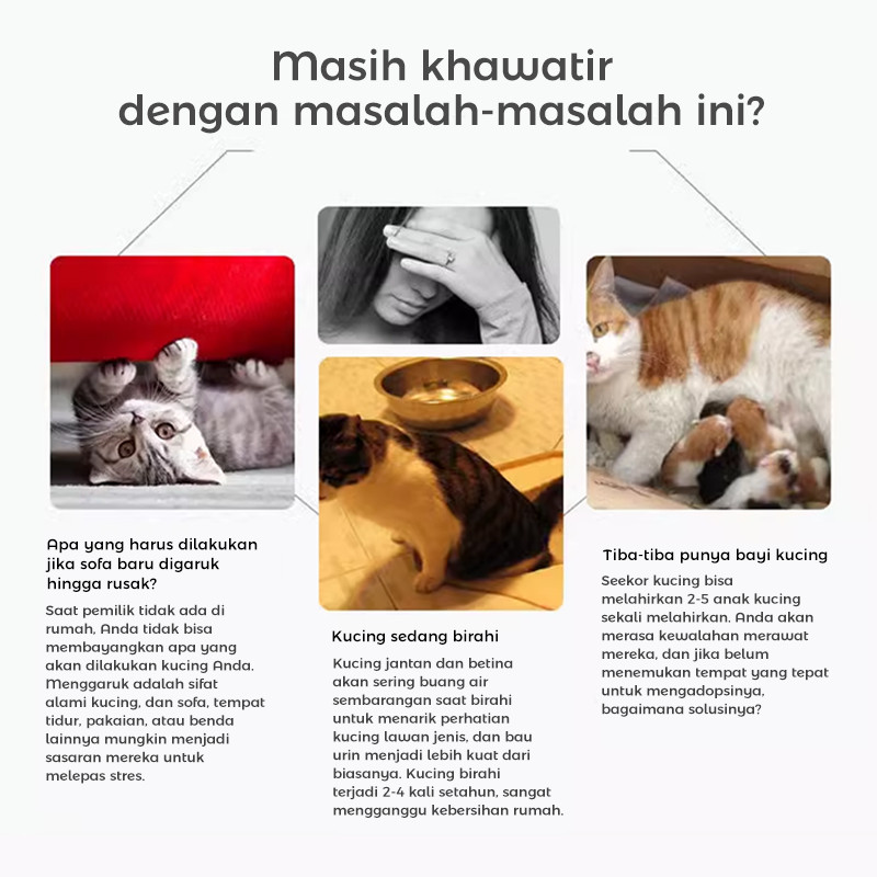 Kandang Kucing Tingkat Pagar Kucing Tinggi Kandang Kucing Kandang Hewan