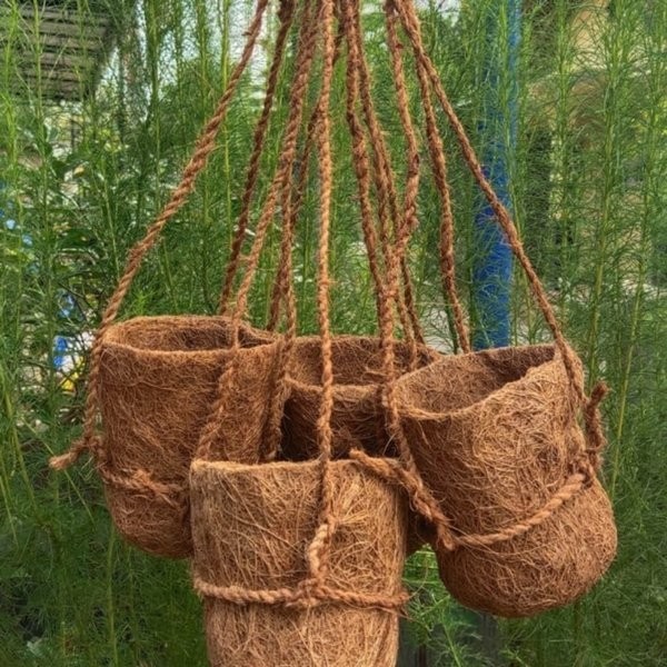 pot anggrek sabut kelapa gantung pot penyubur anggrek