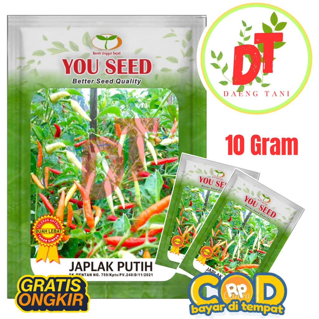 Benih Bibit Biji Cabe Rawit putih Tipe Patalan JAPLAK PUTIH 10 gram Cap You seed
