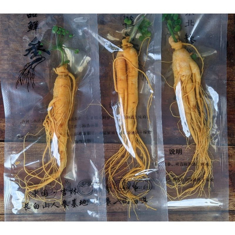 

Akar Ginseng paket Hemat isi 3 berat 100 Gram (COD)
